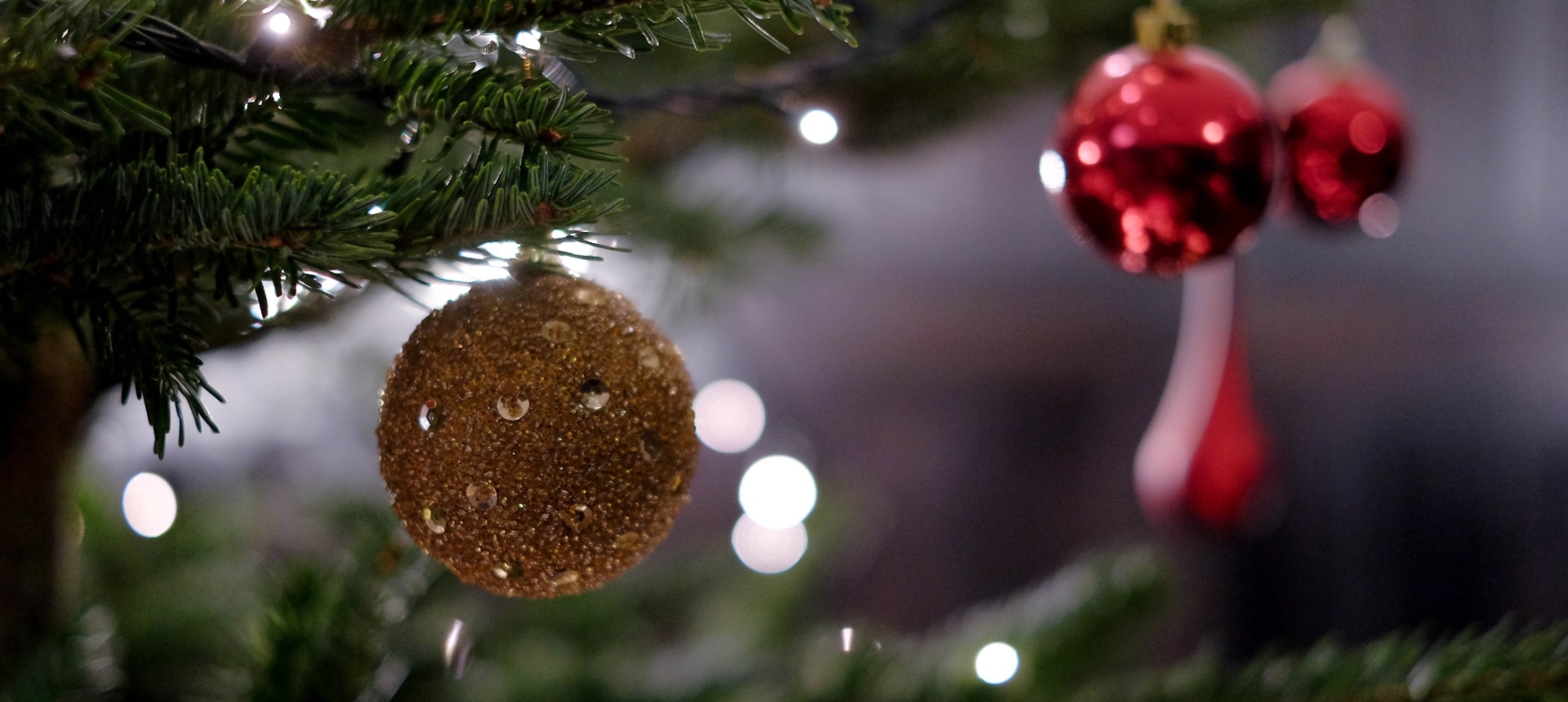 A gold sparkly ball and a red Christmas ornament handing on the branch of a tree