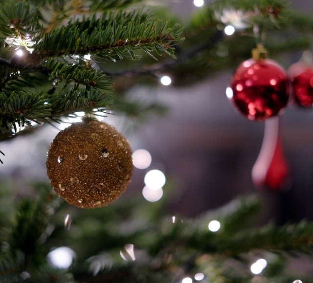 A gold sparkly ball and a red Christmas ornament handing on the branch of a tree