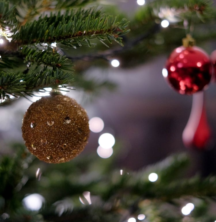 A gold sparkly ball and a red Christmas ornament handing on the branch of a tree