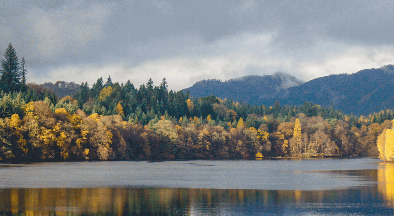 body of water surrounded by color changing trees on a cloudy day