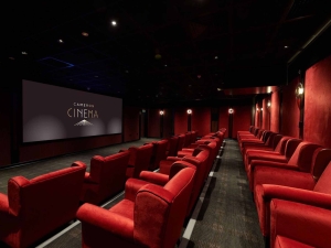 private-cinema-experience