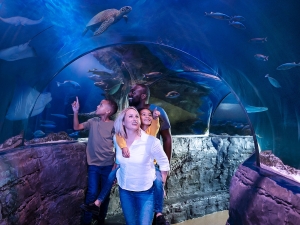 a family walking through a aquarium with turtles and fish swimming around them