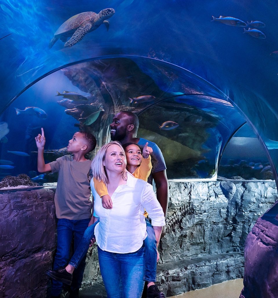 a family walking through a aquarium with turtles and fish swimming around them